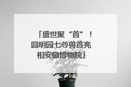 盛世聚“首”！圆明园七尊兽首亮相安徽博物院