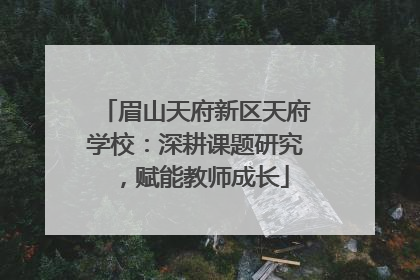 眉山天府新区天府学校：深耕课题研究，赋能教师成长