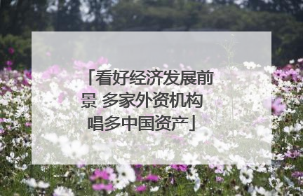 看好经济发展前景 多家外资机构唱多中国资产
