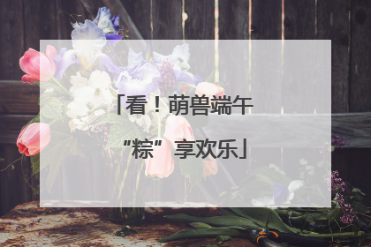 看！萌兽端午“粽”享欢乐