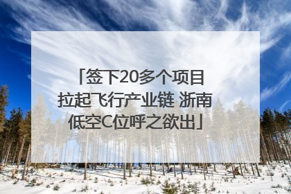签下20多个项目 拉起飞行产业链 浙南低空C位呼之欲出