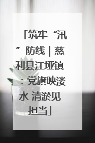 筑牢“汛”防线｜慈利县江垭镇：党旗映溇水 清淤见担当