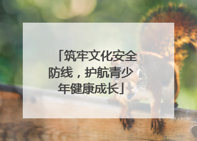 筑牢文化安全防线，护航青少年健康成长