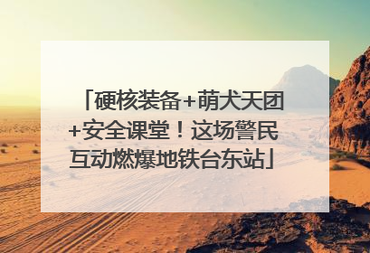 硬核装备+萌犬天团+安全课堂！这场警民互动燃爆地铁台东站