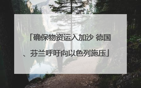 确保物资运入加沙 德国、芬兰呼吁向以色列施压