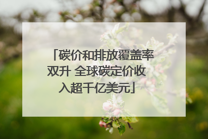 碳价和排放覆盖率双升 全球碳定价收入超千亿美元
