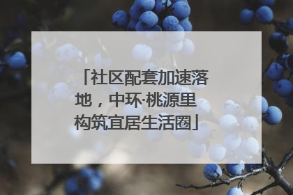 社区配套加速落地，中环·桃源里构筑宜居生活圈