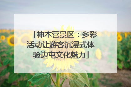 神木营景区：多彩活动让游客沉浸式体验边屯文化魅力