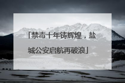 禁毒十年铸辉煌，盐城公安启航再破浪