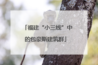 福建“小三线”中的包豪斯建筑群