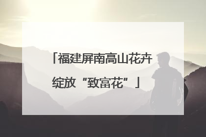 福建屏南高山花卉绽放“致富花”