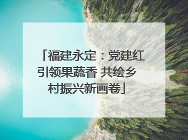 福建永定：党建红引领果蔬香 共绘乡村振兴新画卷