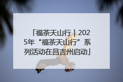 福茶天山行｜2025年“福茶天山行”系列活动在昌吉州启动