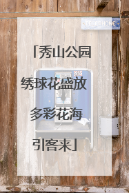 秀山公园绣球花盛放 多彩花海引客来