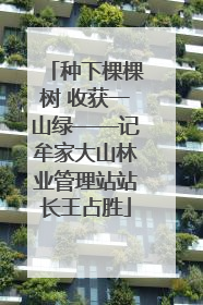 种下棵棵树 收获一山绿——记牟家大山林业管理站站长王占胜