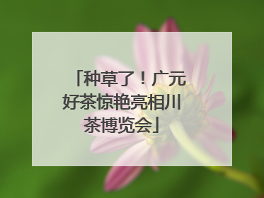 种草了！广元好茶惊艳亮相川茶博览会