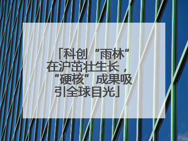 科创“雨林”在沪茁壮生长，“硬核”成果吸引全球目光