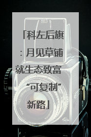 科左后旗：月见草铺就生态致富“可复制”新路