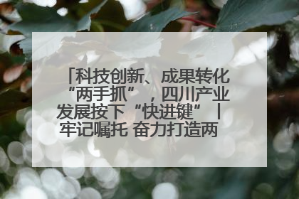 科技创新、成果转化“两手抓”，四川产业发展按下“快进键”丨牢记嘱托 奋力打造两高地两基地一屏障