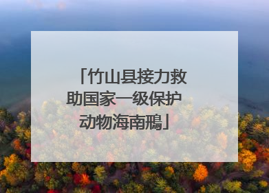 竹山县接力救助国家一级保护动物海南鳽