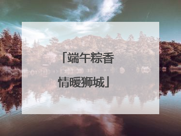 端午粽香 情暖狮城