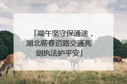 端午坚守保通途，湖北蕲春道路交通亮剑执法护平安