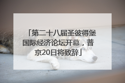 第二十八届圣彼得堡国际经济论坛开幕，普京20日将致辞