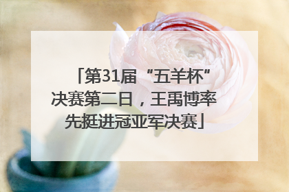 第31届“五羊杯”决赛第二日，王禹博率先挺进冠亚军决赛