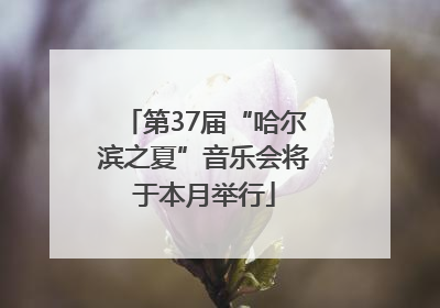 第37届“哈尔滨之夏”音乐会将于本月举行