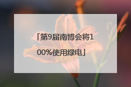 第9届南博会将100%使用绿电