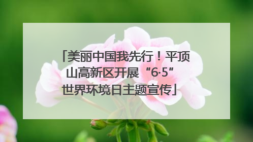 美丽中国我先行！平顶山高新区开展“6·5”世界环境日主题宣传