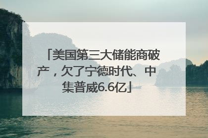 美国第三大储能商破产，欠了宁德时代、中集普威6.6亿