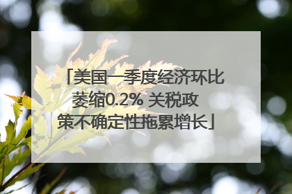 美国一季度经济环比萎缩0.2% 关税政策不确定性拖累增长