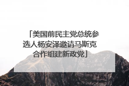 美国前民主党总统参选人杨安泽邀请马斯克合作组建新政党