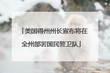 美国得州州长宣布将在全州部署国民警卫队