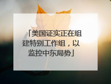 美国证实正在组建特别工作组，以监控中东局势