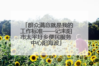 群众满意就是我的工作标准——记耒阳市太平圩乡便民服务中心阳海波