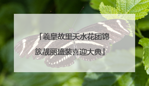 羲皇故里天水花团锦簇靓丽盛装喜迎大典