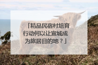 精品民宿村培育行动何以让宣城成为旅居目的地？
