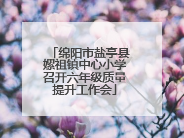 绵阳市盐亭县嫘祖镇中心小学召开六年级质量提升工作会