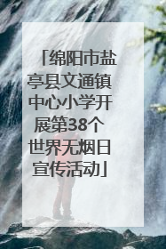 绵阳市盐亭县文通镇中心小学开展第38个世界无烟日宣传活动