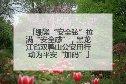 绷紧“安全弦”拉满“安全感”，黑龙江省双鸭山公安用行动为平安“加码”