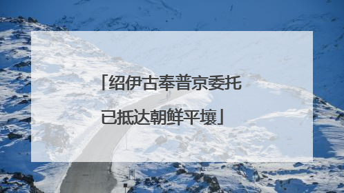 绍伊古奉普京委托已抵达朝鲜平壤