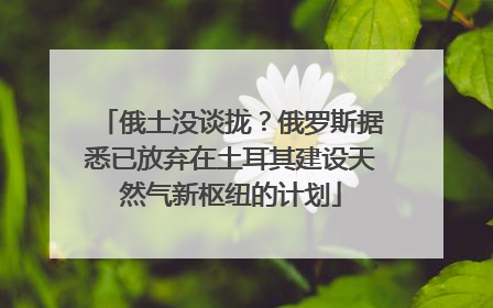 俄土没谈拢？俄罗斯据悉已放弃在土耳其建设天然气新枢纽的计划