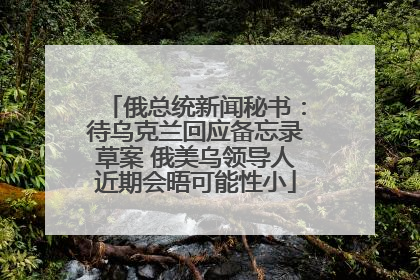 俄总统新闻秘书：待乌克兰回应备忘录草案 俄美乌领导人近期会晤可能性小