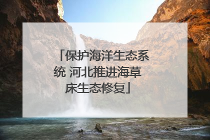 保护海洋生态系统 河北推进海草床生态修复