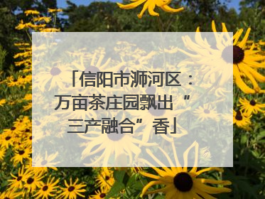 信阳市浉河区：万亩茶庄园飘出“三产融合”香