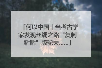 何以中国丨当考古学家发现丝绸之路“复制粘贴”版驼夫……
