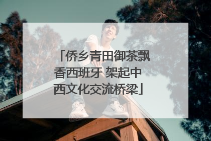 侨乡青田御茶飘香西班牙 架起中西文化交流桥梁