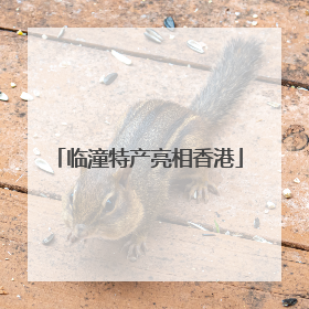 临潼特产亮相香港